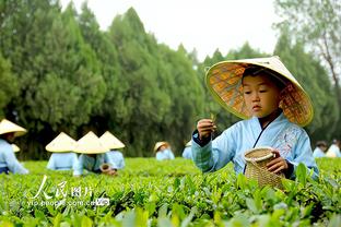 雷电竞app苹果下载截图2